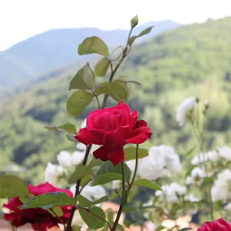 Sobrevilla Casa de hóspedes