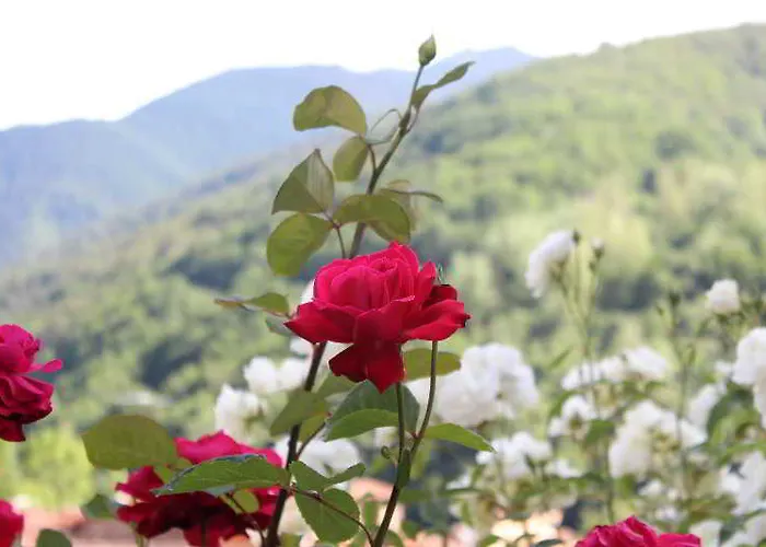 Sobrevilla Pensjonat